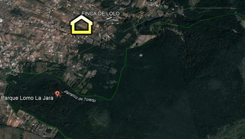 Casa Lolo Villa Tacoronte Holiday home