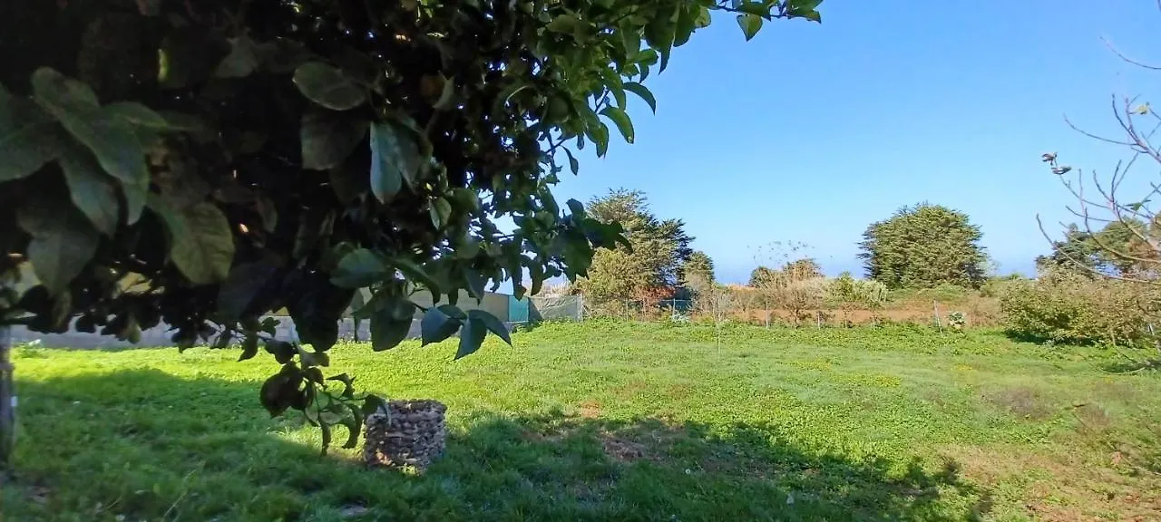 Holiday home Casa Lolo Villa Tacoronte